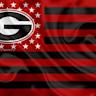 Georgia logo
